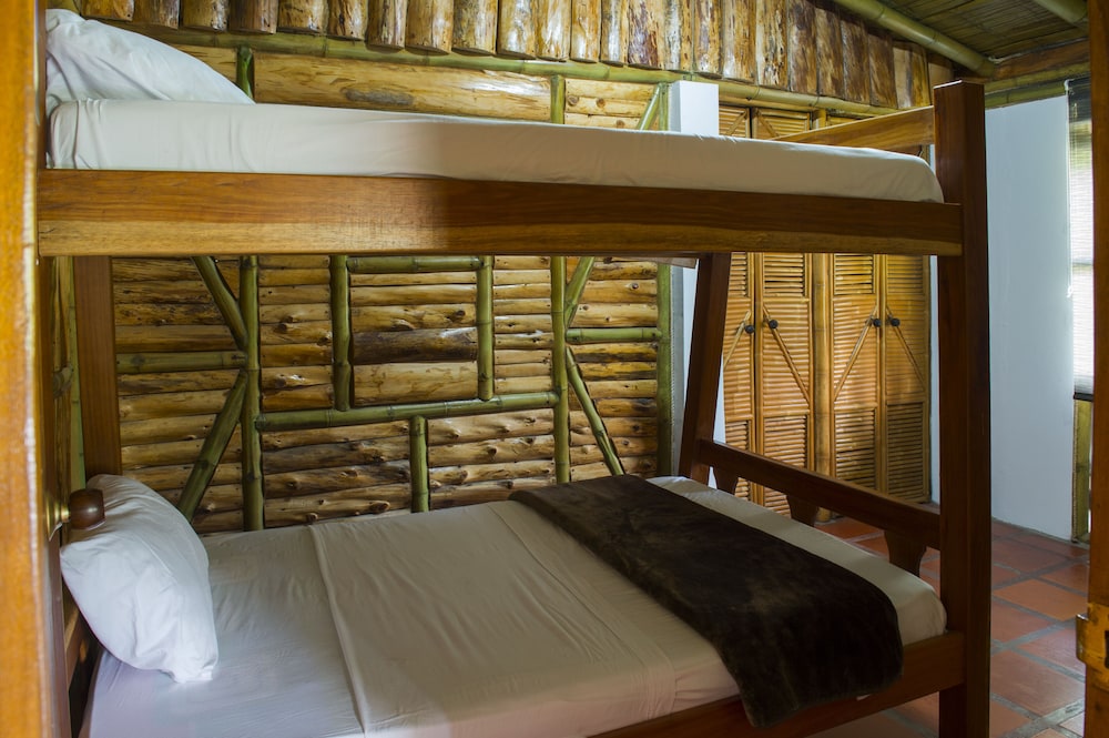 Family Double or Twin Room, Multiple Beds photo 3