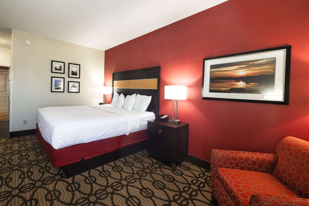 Room, 1 King Bed, Non Smoking photo 3