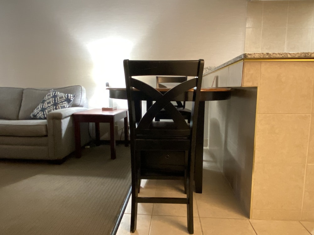 Suite, 1 King Bed with Sofa bed, Non Smoking (Efficiency) - Photo 4