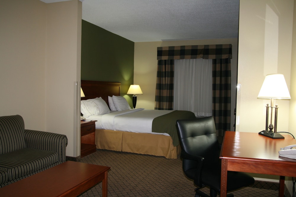 Suite, 1 King Bed with Sofa bed - Photo 1
