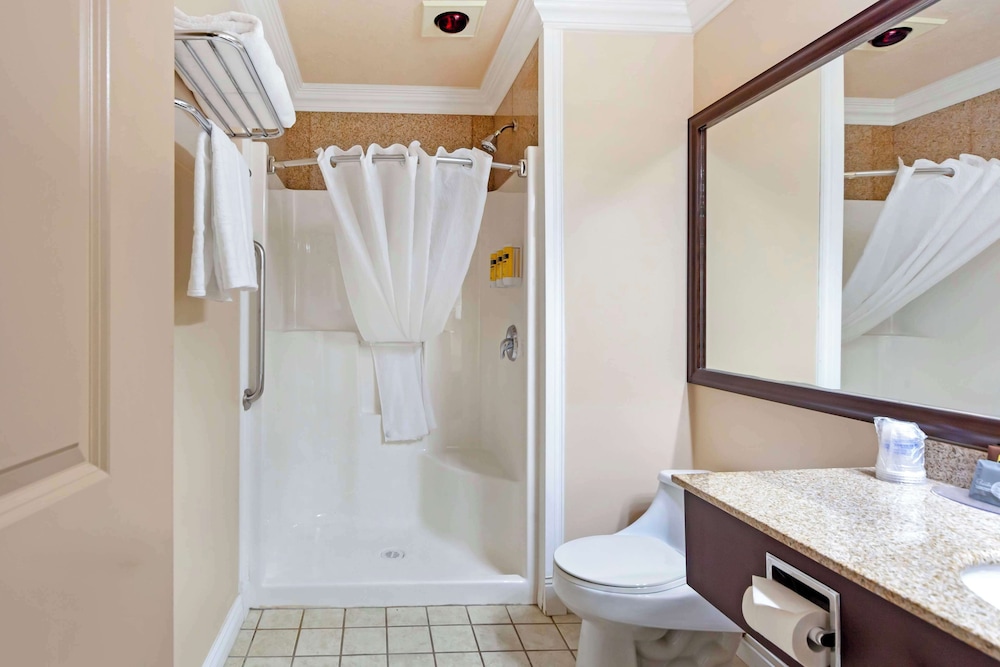 Standard Room, 1 King Bed, Non Smoking, Jetted Tub (No Pets in room type) - Photo 4