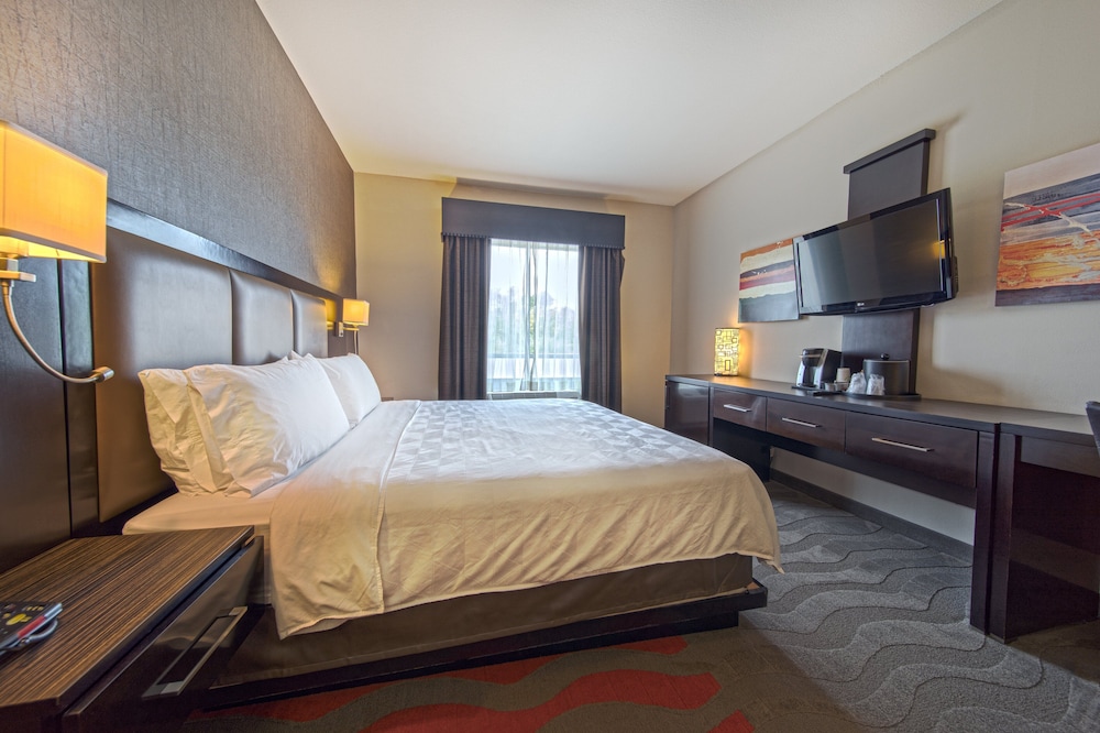 Standard Room, 1 King Bed, Accessible - Photo 5