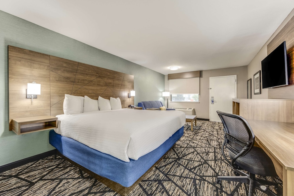 Standard Room, 1 King Bed, Non Smoking photo 1