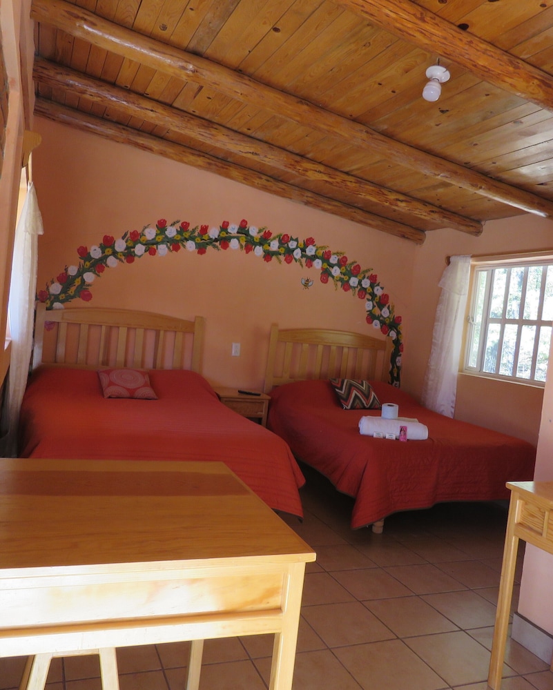 Basic Room photo 1
