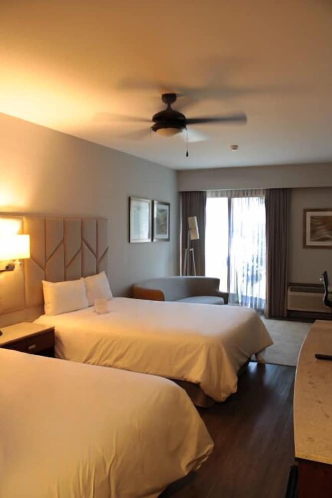 Superior Room, 2 Queen Beds, Non Smoking - Photo 6