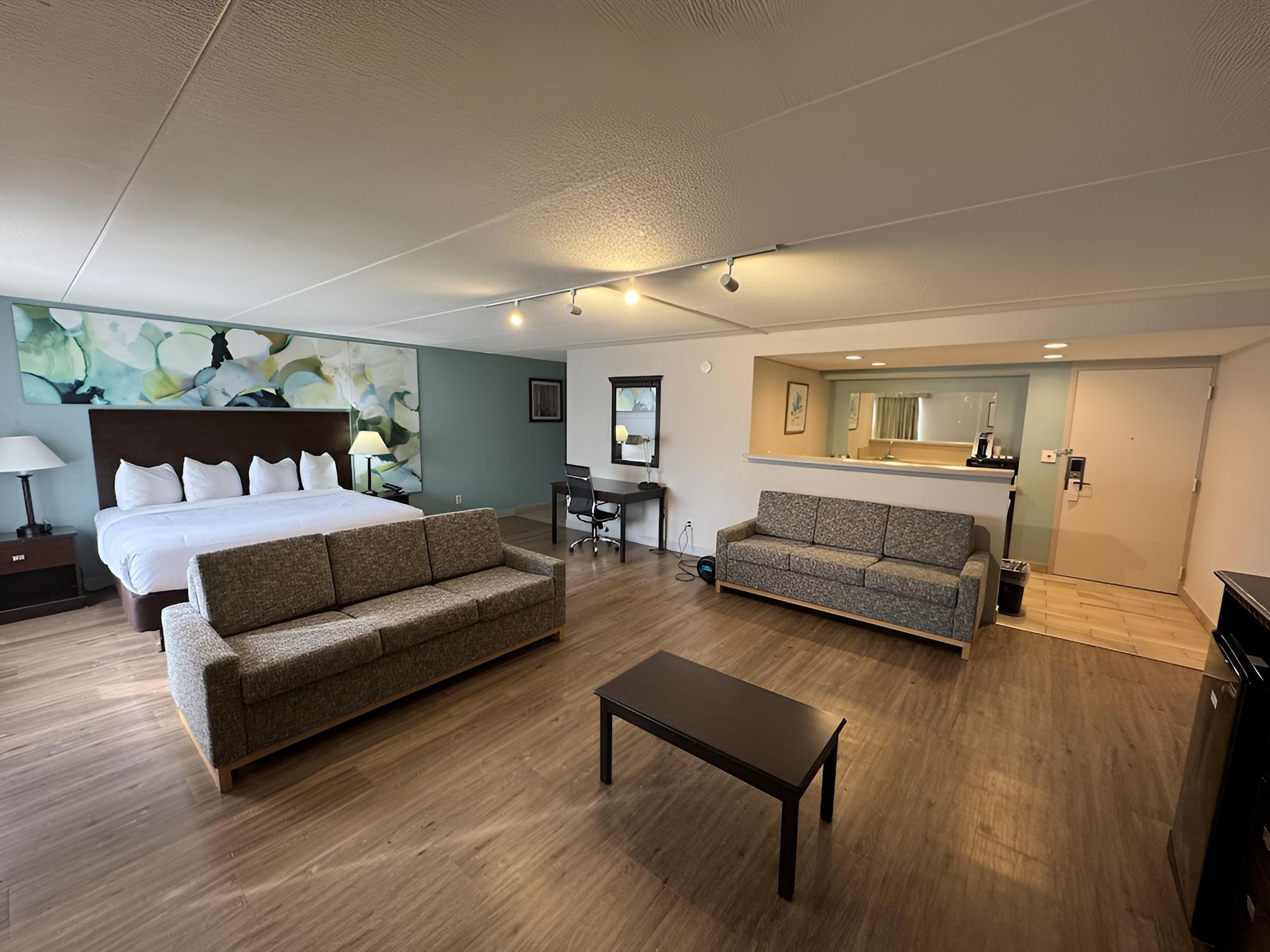 Suite, 1 King Bed with Sofa bed - Photo 1