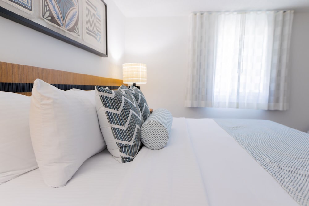 Basic Suite photo 2