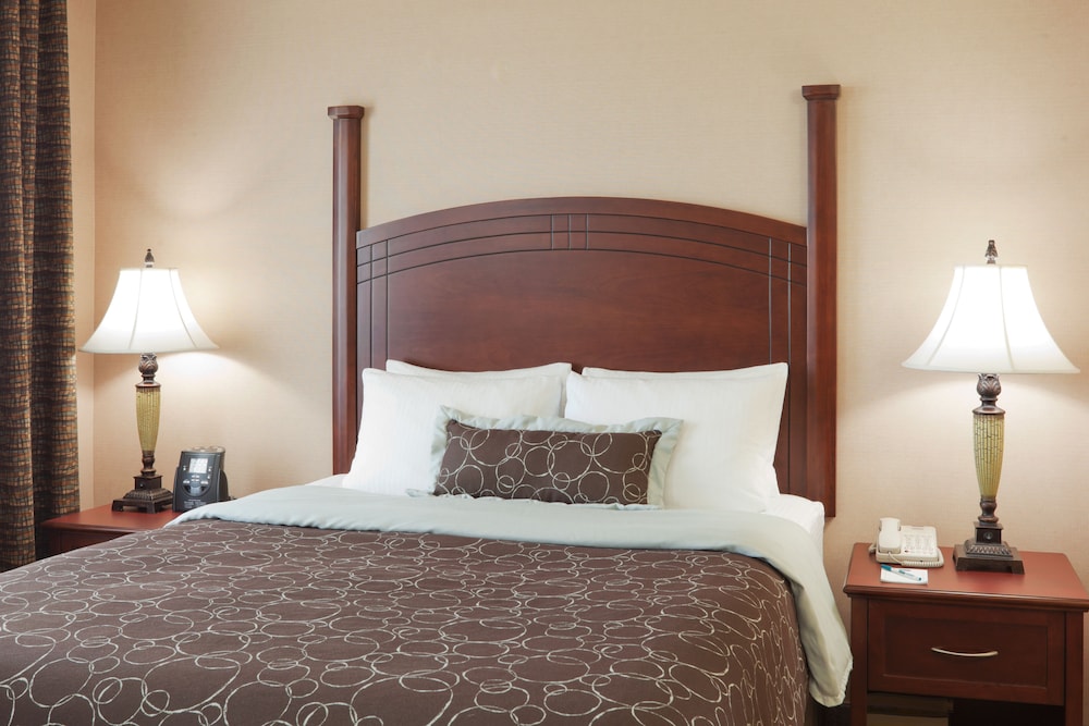 Studio Suite, 1 Queen Bed, Kitchen - Photo 4