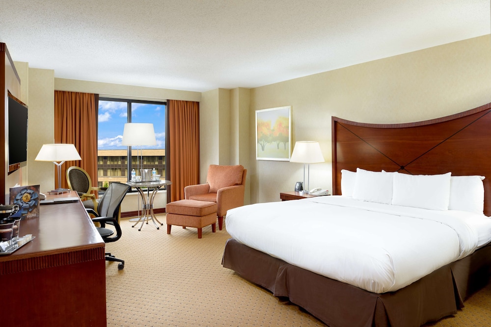 Business Room - 1 King Bed
