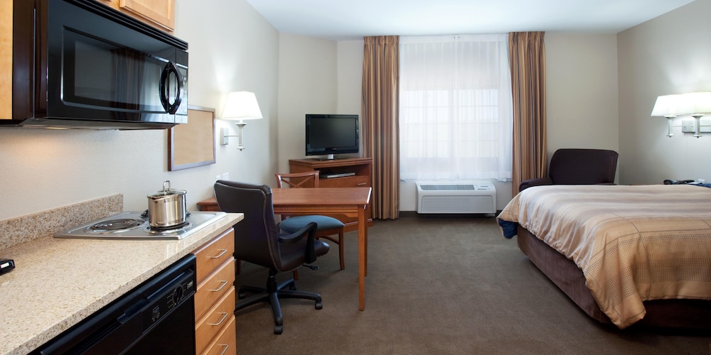 Studio Suite - Photo 1