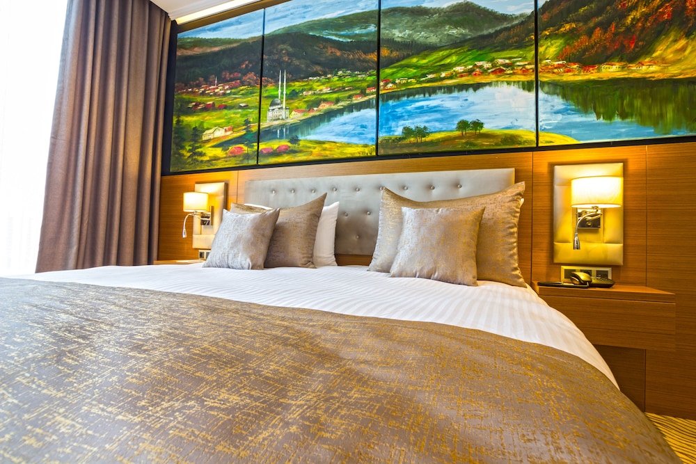Superior Double Room, City View photo 1