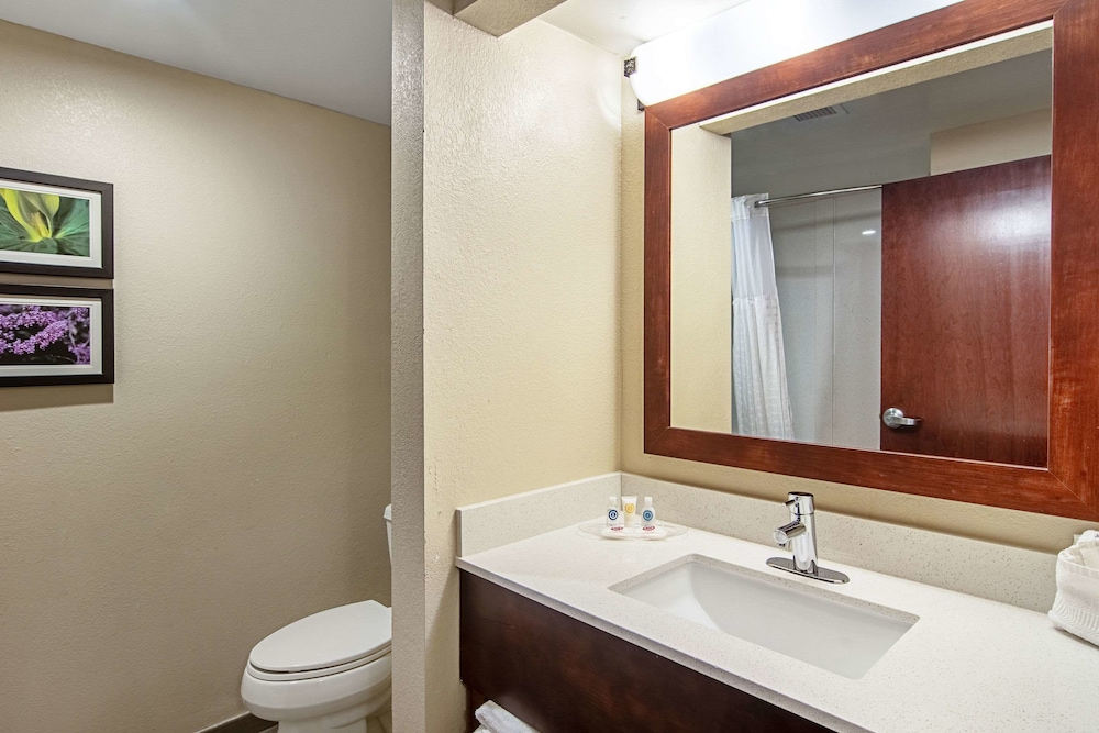Suite, Multiple Beds, Non Smoking - Photo 6