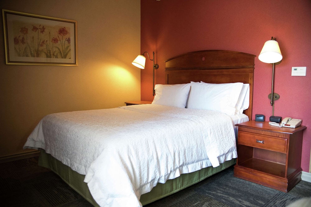 Room, 1 Queen Bed, Non Smoking photo 1