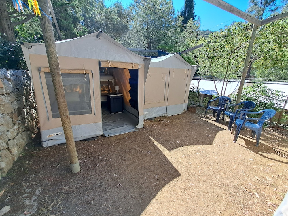 Economy Tent, Multiple Beds, Oceanfront photo 3