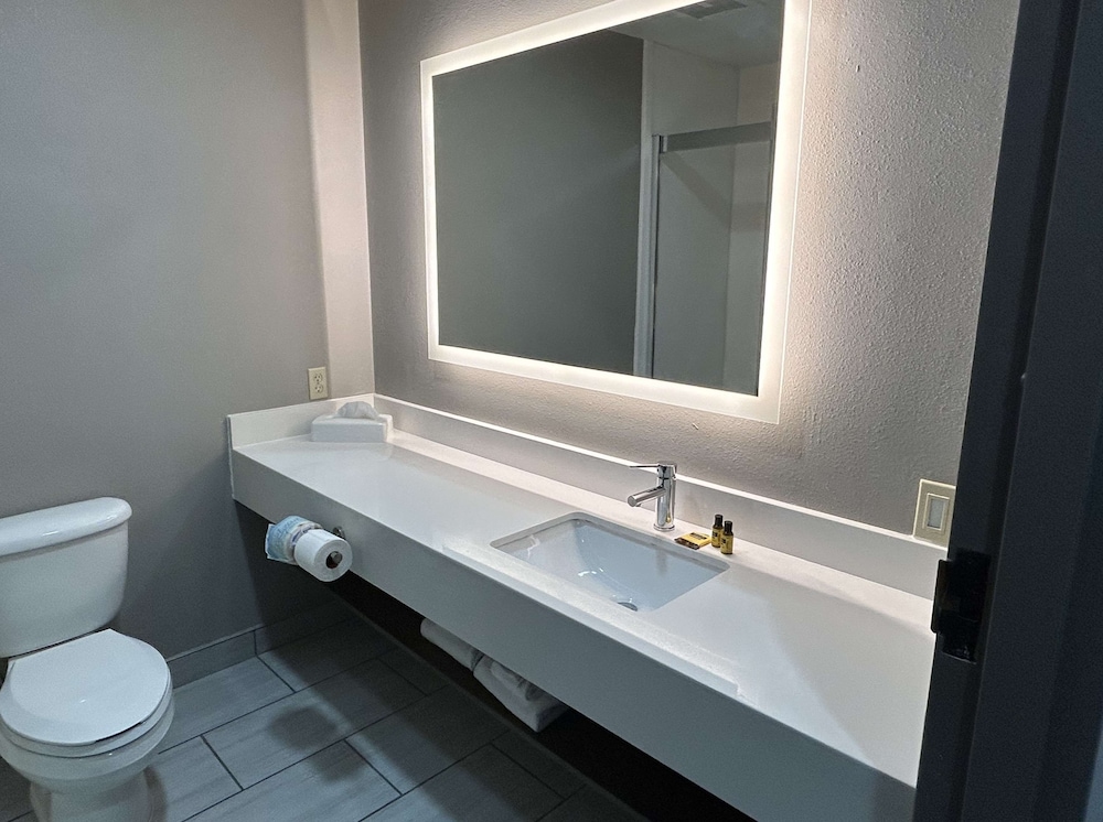 Suite, 1 King Bed, Non Smoking, Kitchenette (with Single Sofabed) - Photo 2