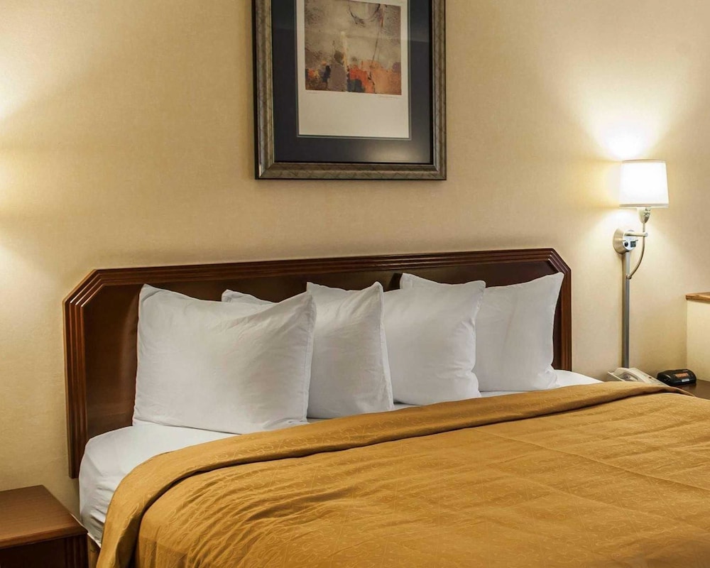 Standard Room, 1 King Bed with Sofa bed, Non Smoking - Photo 16