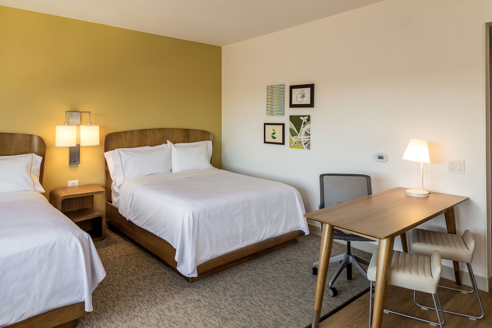 Studio, Multiple Beds - Photo 1