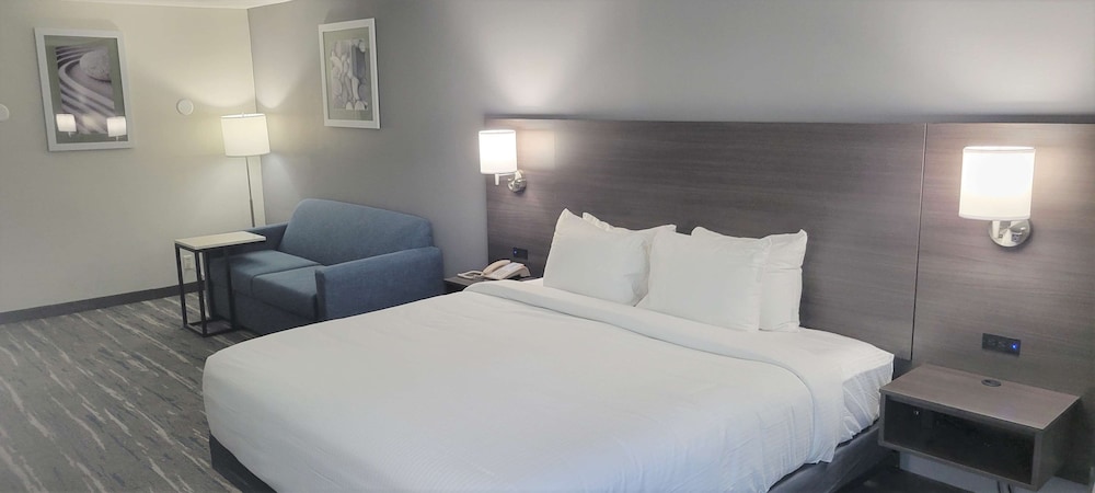 Standard Room, 1 King Bed, Non Smoking, Refrigerator & Microwave - Photo 1