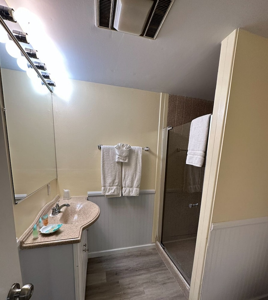 Suite, 1 King Bed photo 3