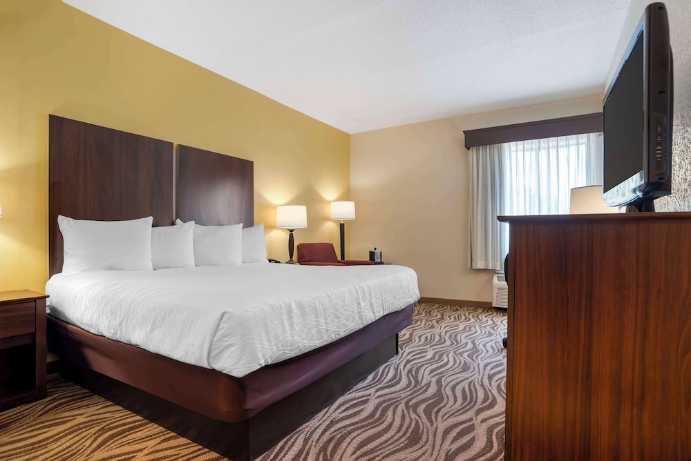 Standard Room, 1 King Bed, Accessible, Non Smoking photo 1
