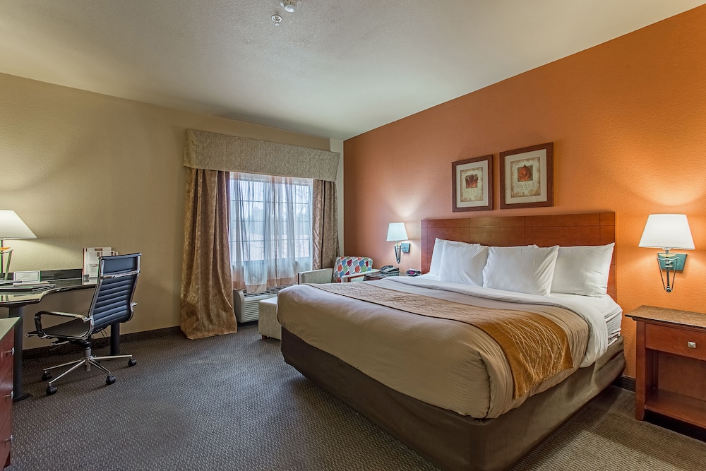 Standard Room, 1 King Bed, Accessible, Non Smoking - Photo 2
