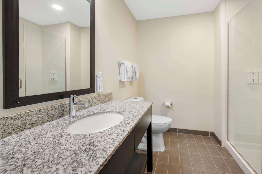 Suite, 1 King Bed, Non Smoking, Kitchenette photo 3
