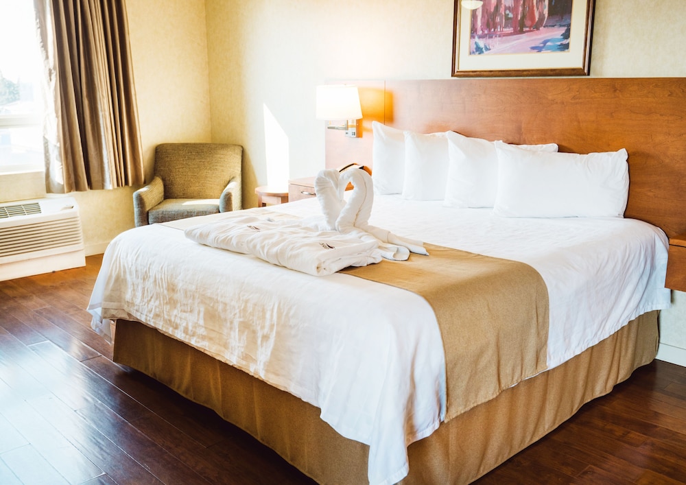 Executive Suite, 1 King Bed photo 1