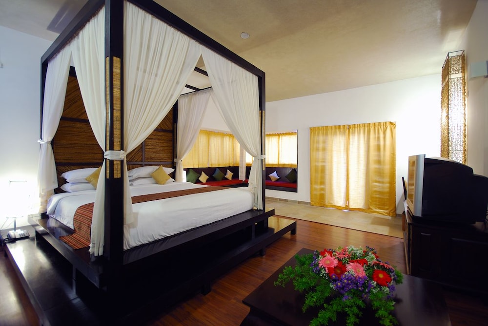 Basic Suite - Photo 1