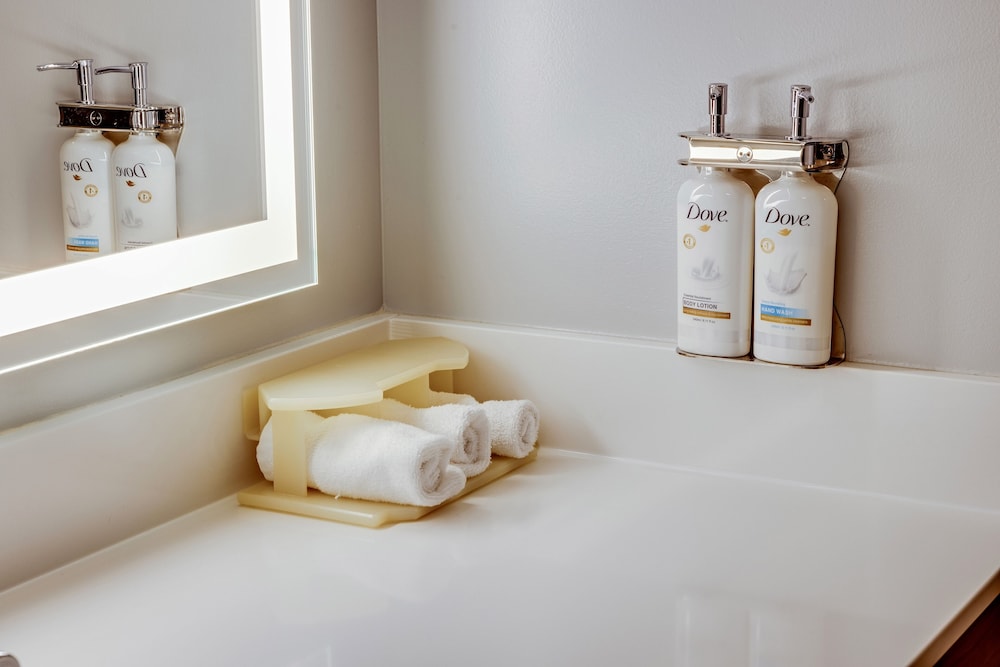 Suite, 1 Bedroom, Accessible (Communications Accessible) - Photo 6