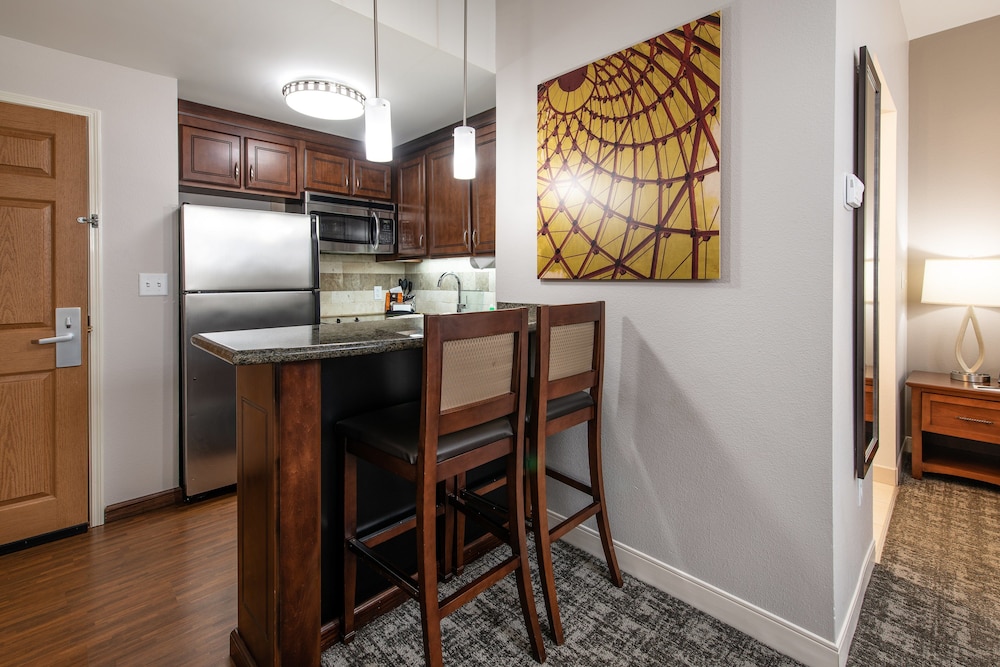 Studio Suite, 1 King Bed, Accessible Bathtub, Kitchen (Hearing Accessible, Bathtub) - Photo 6