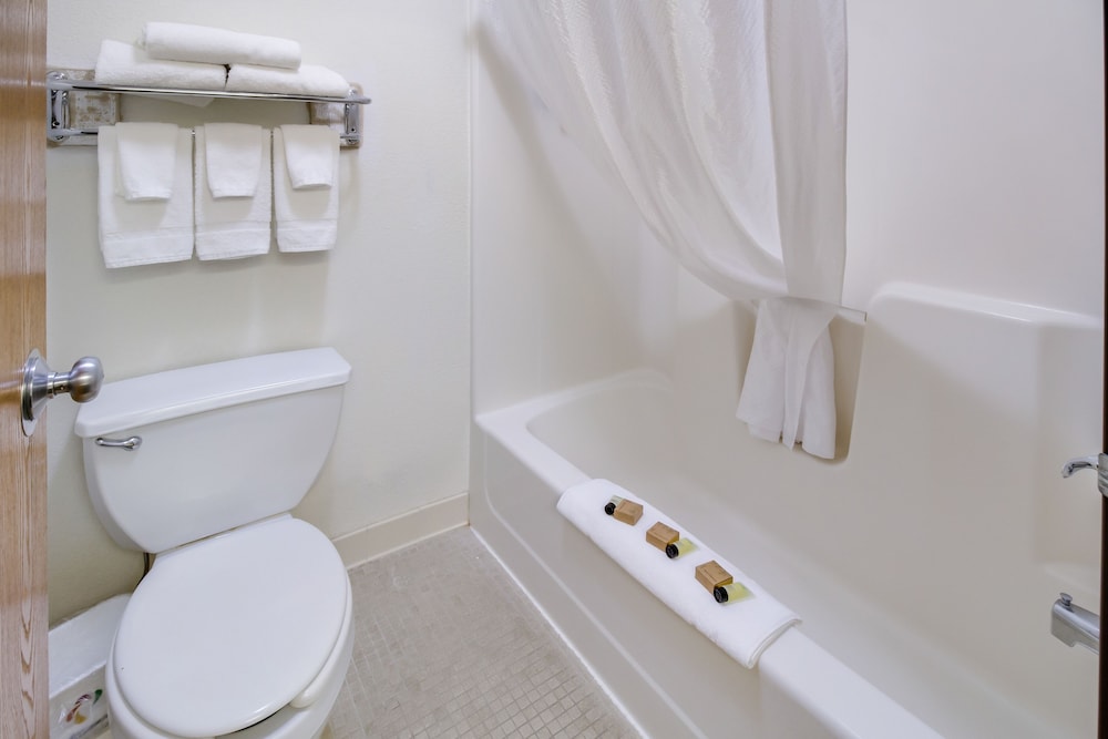Handicap Accessible Single Room, 1 King Bed, Non Smoking - Photo 9