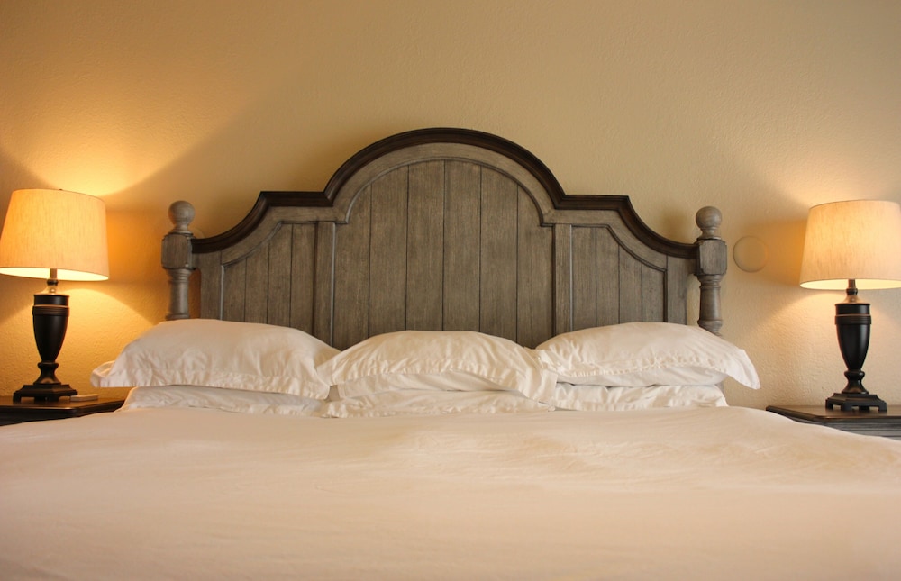 Deluxe Single Room, 1 King Bed photo 1