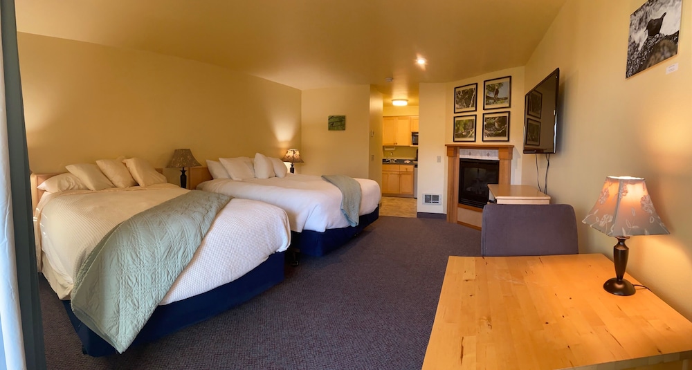 Family Studio, Multiple Beds