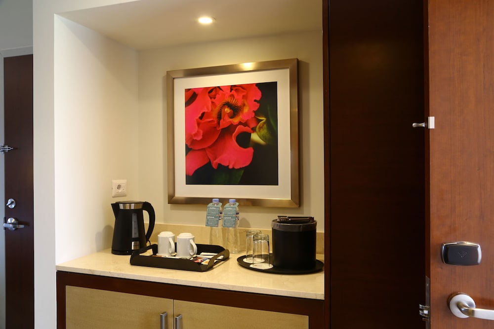 Terrace King photo 2