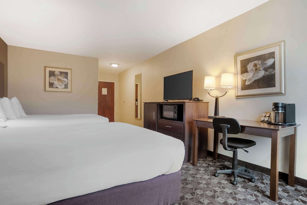 Standard Room, 2 Double Beds, Non Smoking, Refrigerator & Microwave (Pet Friendly) photo 3