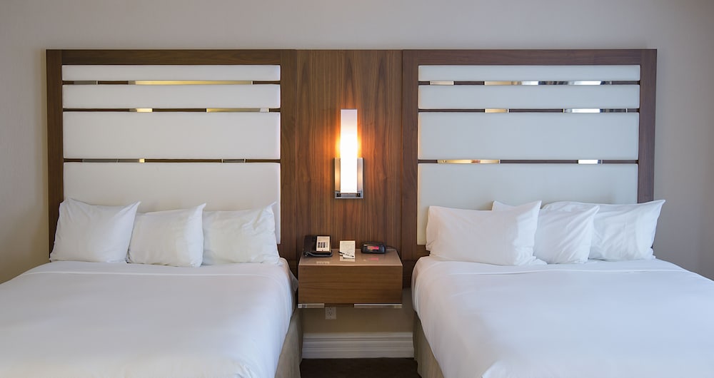 Deluxe Studio, 2 Queen Beds - Photo 2