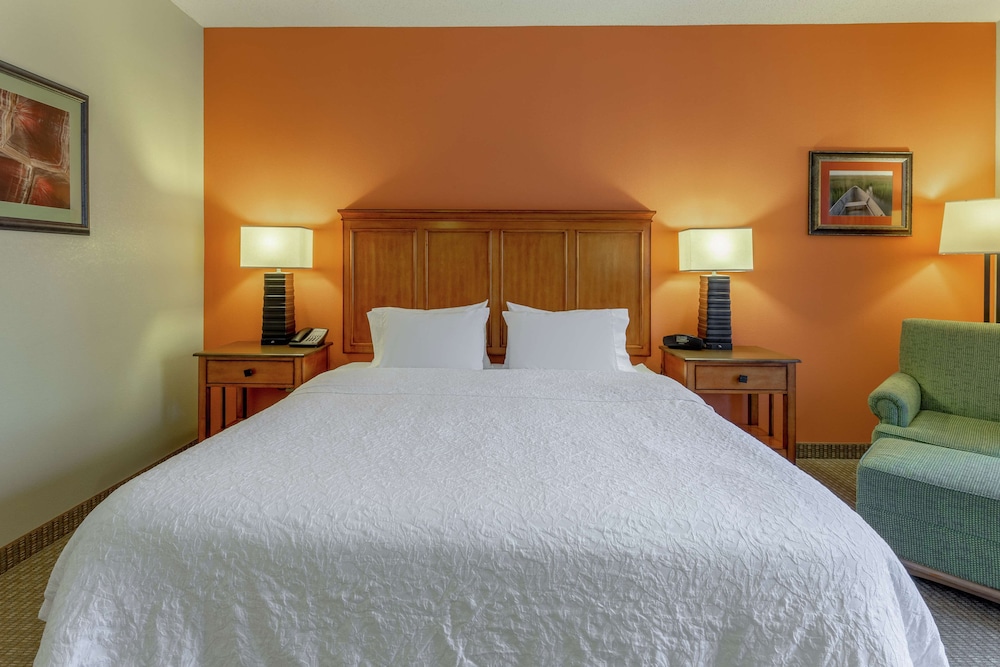Room, 1 King Bed, Accessible, Non Smoking photo 2