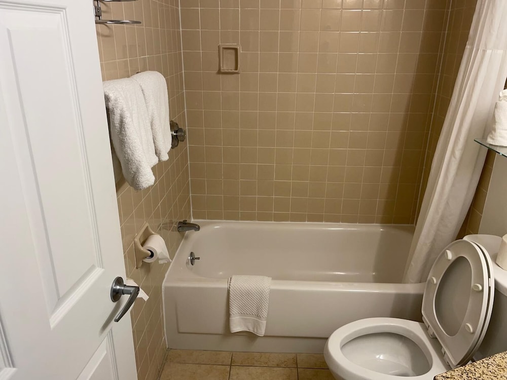 Suite, 1 King Bed - Photo 12