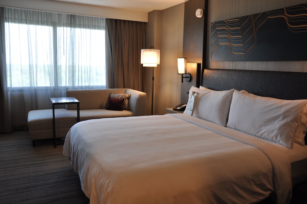 Room, 1 King Bed (Mobility/Hearing Access, Roll-in Shwr) - Photo 1