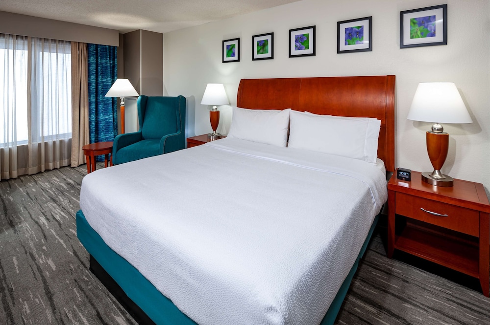 Suite, Accessible - Photo 2