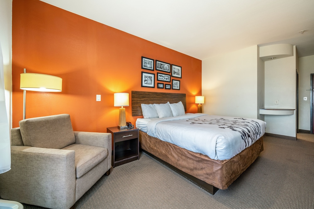 Standard Room, 1 King Bed, Non Smoking - Photo 1