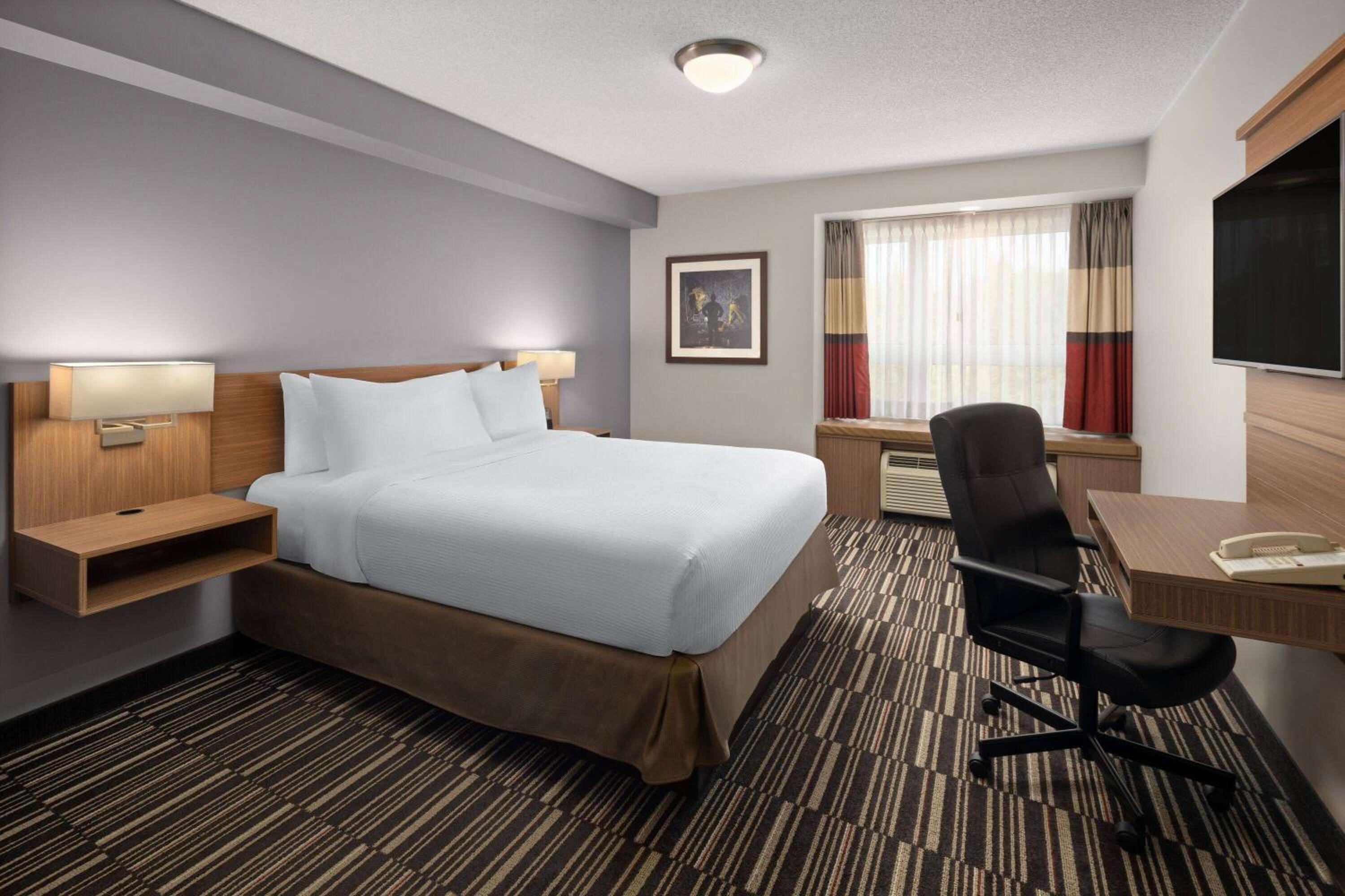 Superior Queen Suite - Non-Smoking photo 3