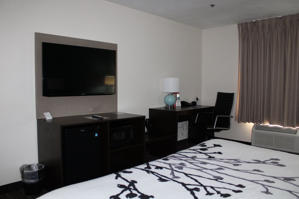 Room, 1 King Bed, Accessible, Non Smoking (Mobility, Roll-in Shower) - Photo 9