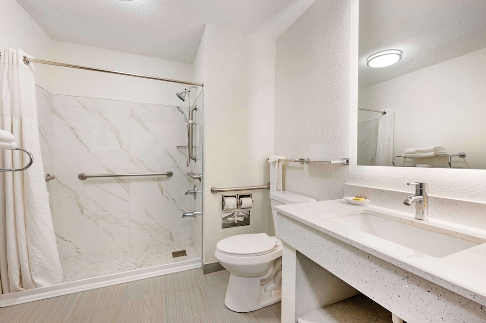 Standard Room, 1 King Bed, Accessible, Non Smoking (Walk-in Shower;with Sofabed) - Photo 8