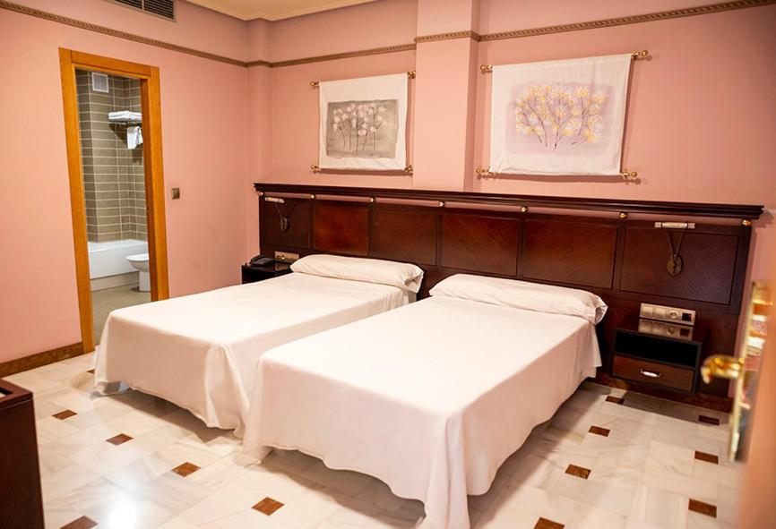 Double or Twin Room