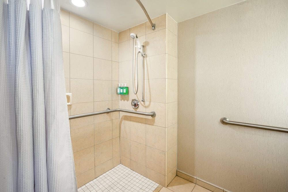 Room, 1 King Bed, Roll-in Shower (Mobility Accessible) - Photo 6