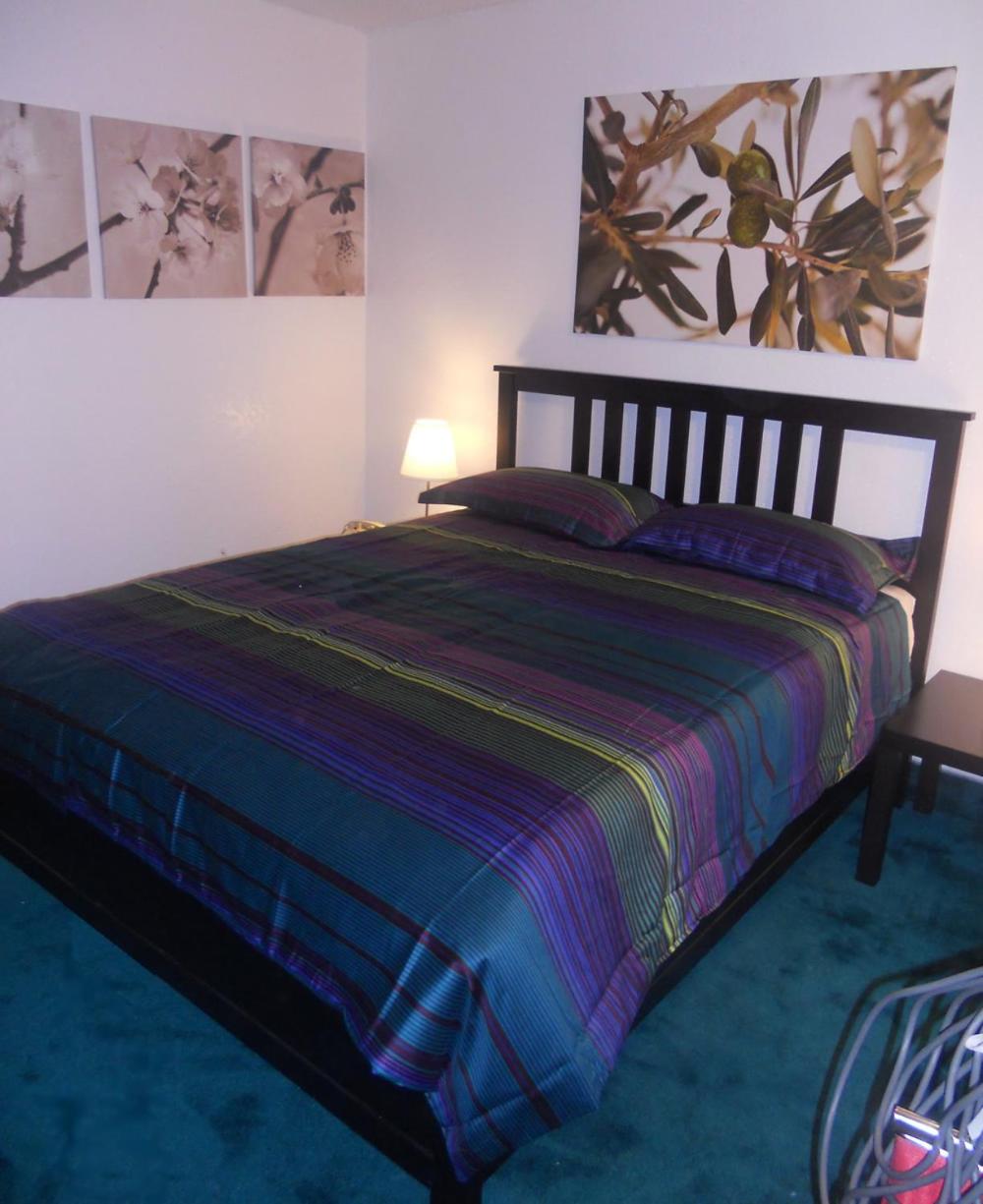 Single Suite - Photo 6