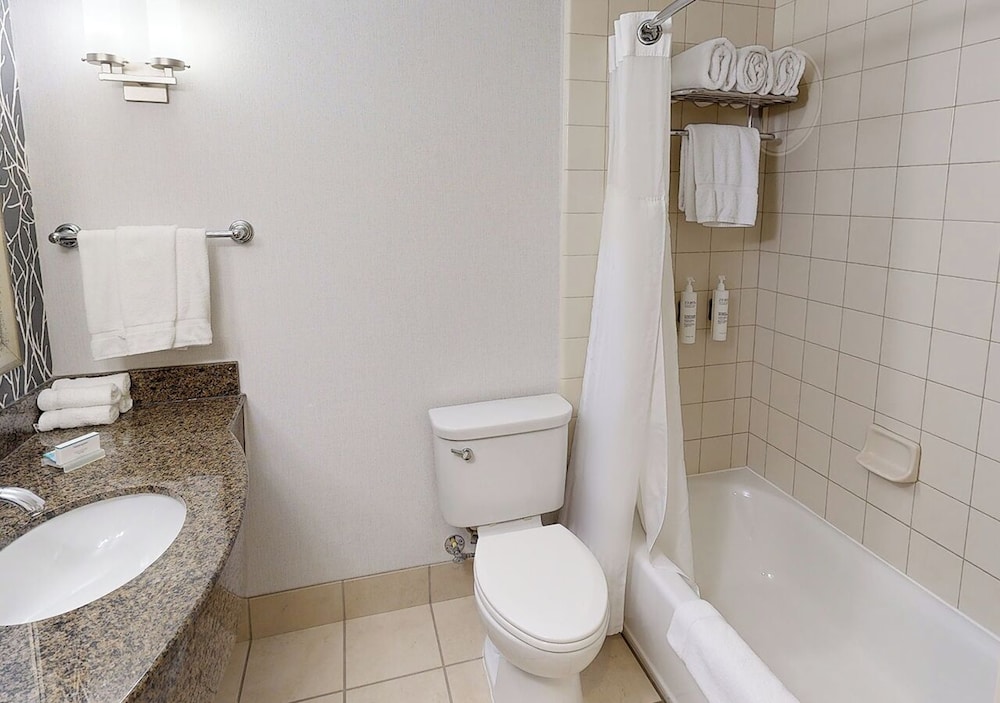 Deluxe Suite, 1 King Bed photo 2