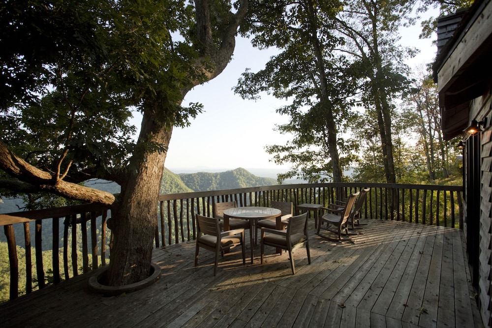 Tree House, 1 King Bed (Barn Owl, Adults Only) photo 1