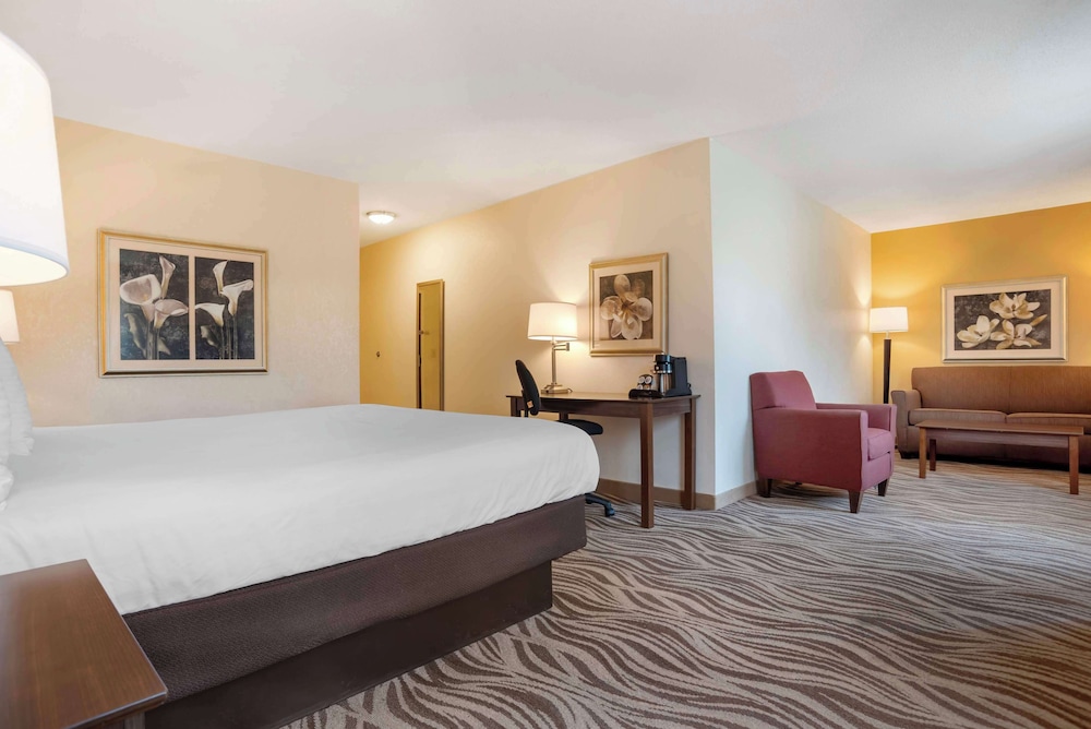 Standard Room, 1 King Bed, Non Smoking, Jetted Tub (with Sofabed) photo 2